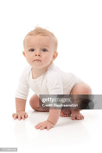 nine month old baby on white background - boy sitting on floor stock pictures, royalty-free photos & images