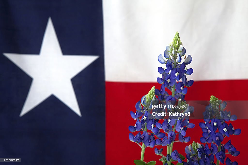 Texas flag and Bluebonnets