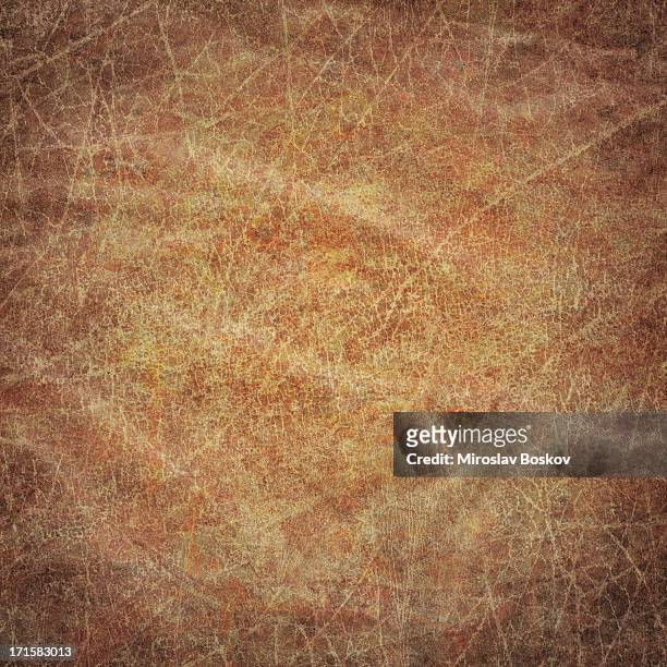 high resolution animal skin old parchment vignetted grunge texture - old parchment, background, burnt stock pictures, royalty-free photos & images