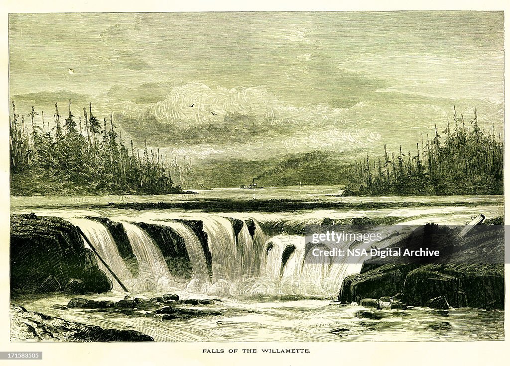 Willamette Falls, Oregon | Historic American Illustrations