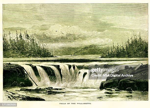 willamette falls, oregon | historic american illustrations - seaside oregon fall stock illustrations