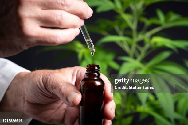 hands holding bottle with cannabis oil - cbd oil stock pictures, royalty-free photos & images