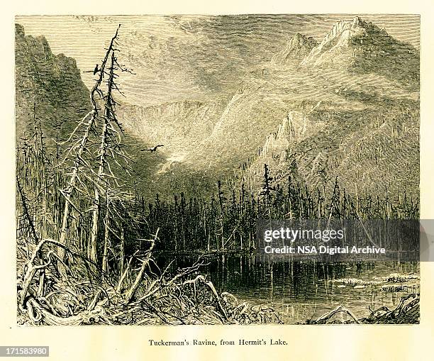 tuckerman ravine in the white mountains of new hampshire - agricultural field photos stock illustrations