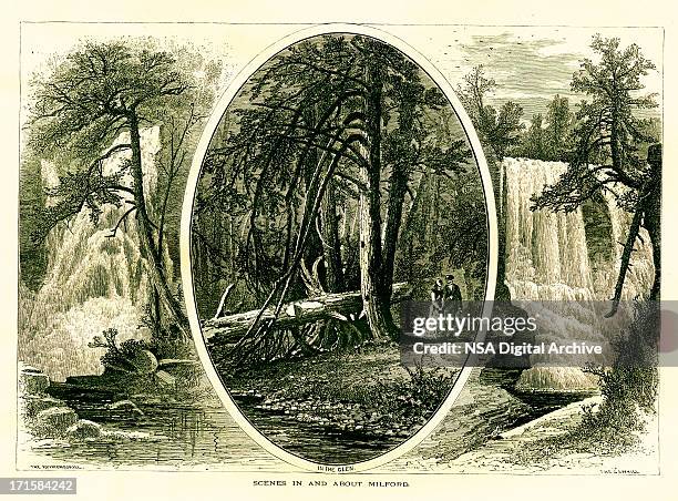 scenes on the delaware river - delaware water gap national recreation area stock illustrations