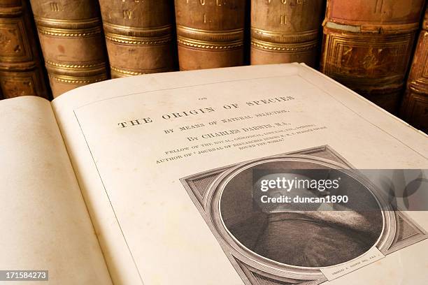 origin of species - charles darwin - human evolution stock pictures, royalty-free photos & images