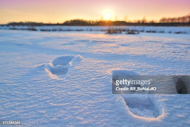 winter travel - shoe print stock pictures, royalty-free photos & images