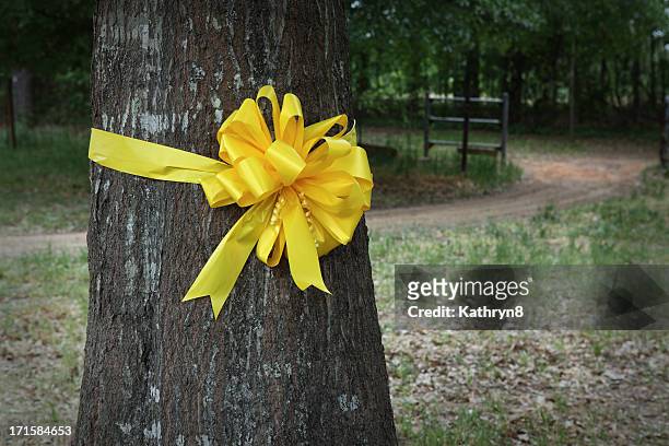 yellow ribbon around an oak tree - yellow ribbon stock pictures, royalty-free photos & images