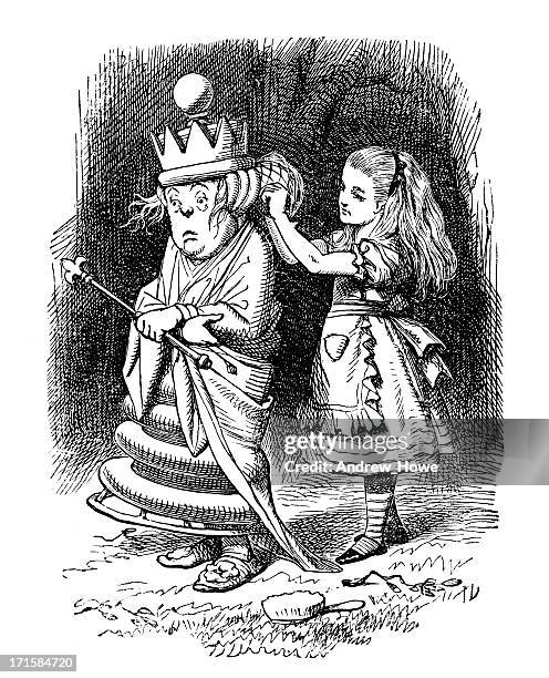 alice - through the looking glass - alice stock illustrations