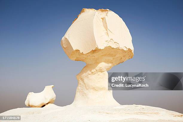 the mushroom - white desert stock pictures, royalty-free photos & images