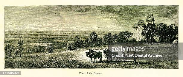 flats of the genesee river, usa | historic american illustrations - paradise pennsylvania stock illustrations