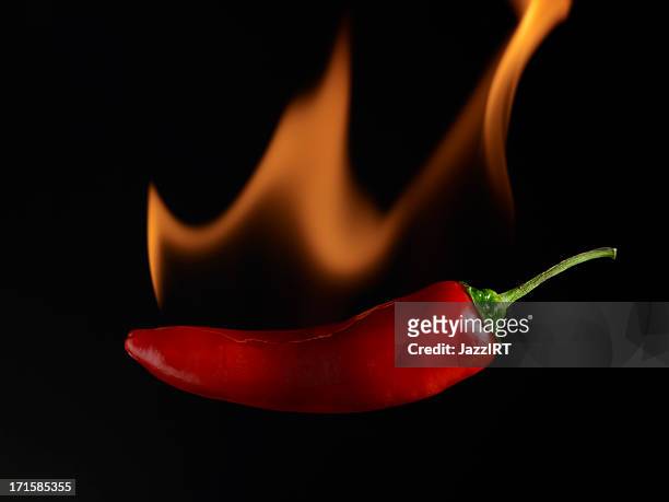 flaming hot pepper on a black background - chili con carne stockfoto's en -beelden