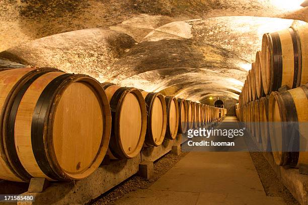 wine cellar - wine barrels stock pictures, royalty-free photos & images