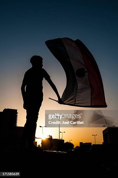 agitant le drapeau égyptien en place tahrir - place tahrir le caire photos et images de collection