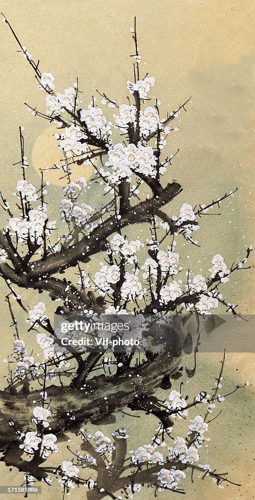 Plum blossom