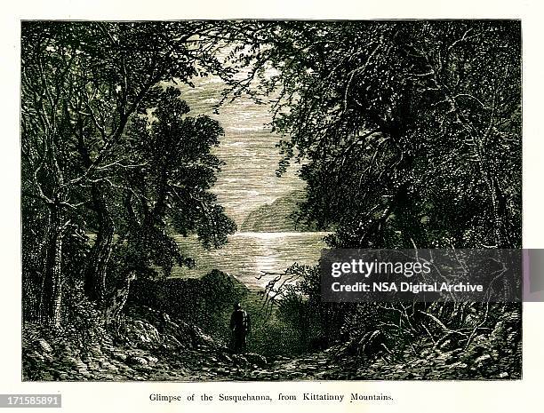 the susquehanna river, usa, wood engraving (1872) - highlands nj stock illustrations