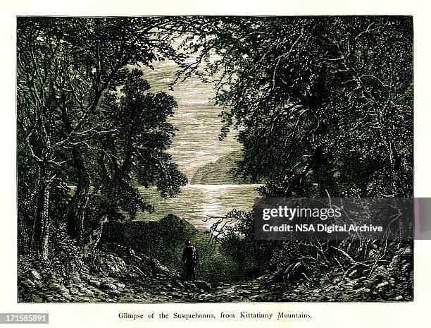 the susquehanna river, usa, wood engraving (1872) - paradise pennsylvania stock illustrations