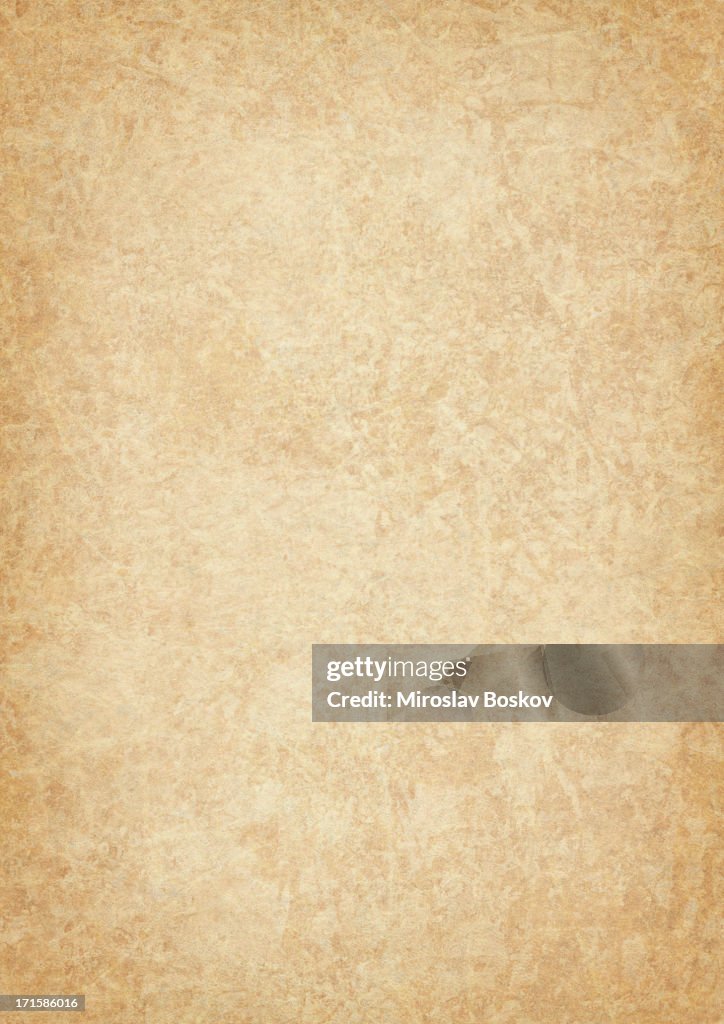 High Resolution Animal Skin Parchment (Vellum) Vignetted Grunge Texture