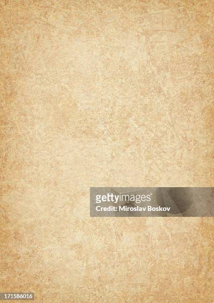 high resolution animal skin parchment (vellum) vignetted grunge texture - old parchment, background, burnt stock pictures, royalty-free photos & images