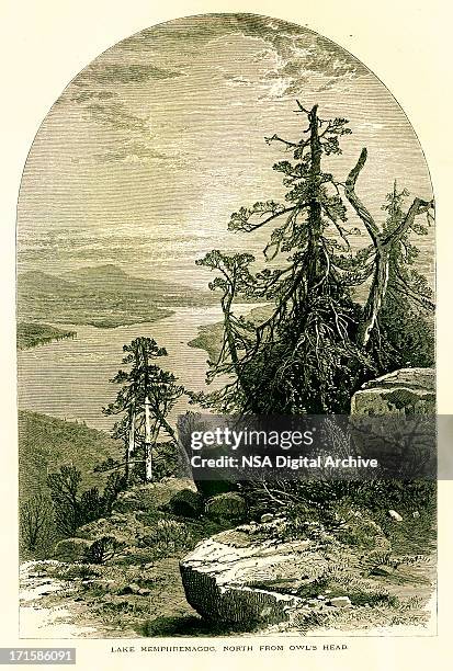 lake memphremagog north from owl's head, wood engraving (1872) - owls head maine stock illustrations