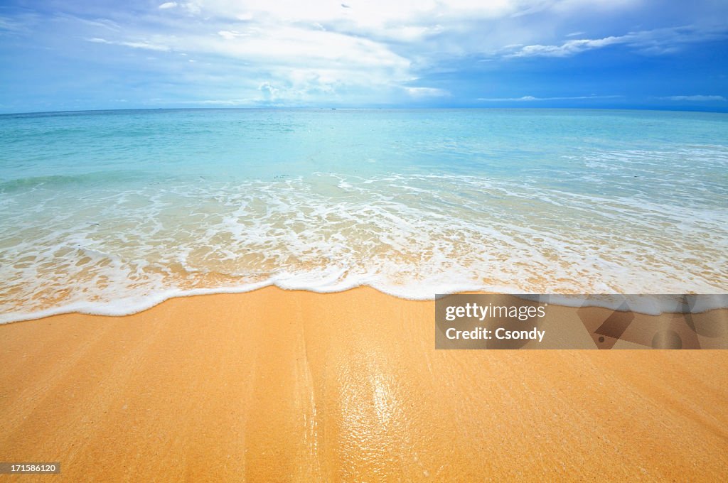 Mar playa y tropical