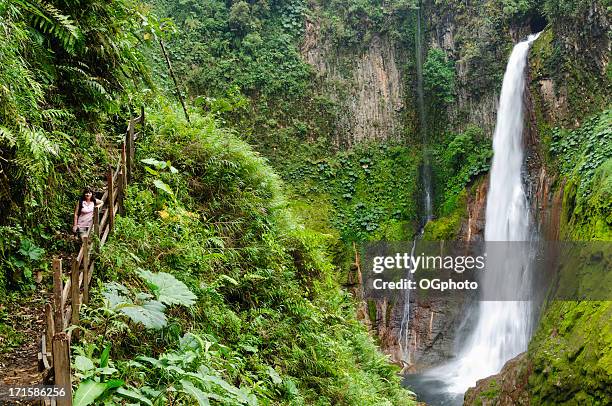woman standing in front of towering tropical waterfall - ogphoto and costa rica stock pictures, royalty-free photos & images