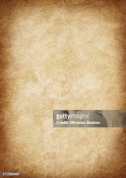 high resolution animal skin old parchment vignetted grunge texture - old parchment, background, burnt stock pictures, royalty-free photos & images