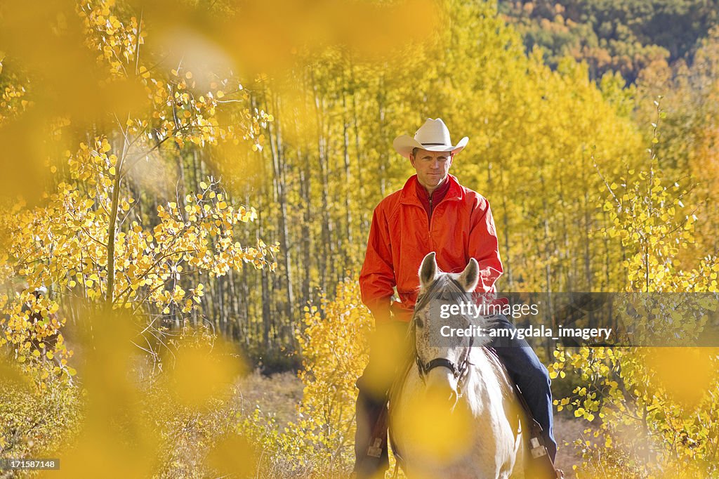 Autumn horseback riding landscape