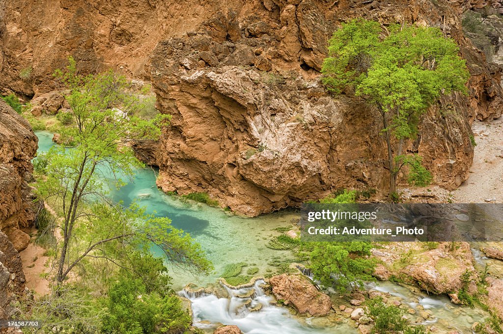 Beaver Falls Havasu Canyon