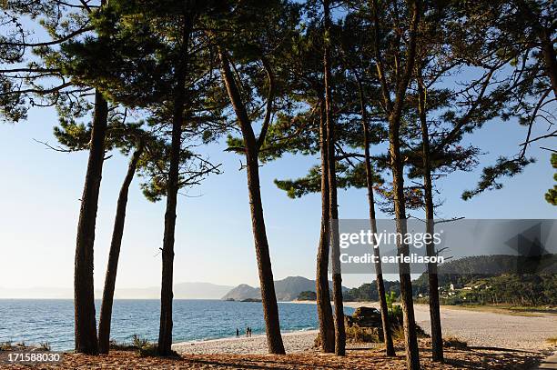 islas cies beach - galicia stock pictures, royalty-free photos & images