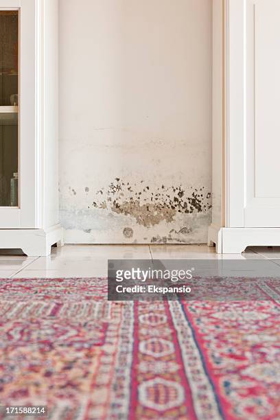 mold mould stains on damp wall between cabinets - damp wall stock pictures, royalty-free photos & images