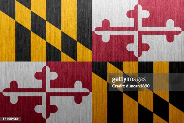 maryland flag - maryland flag stock illustrations