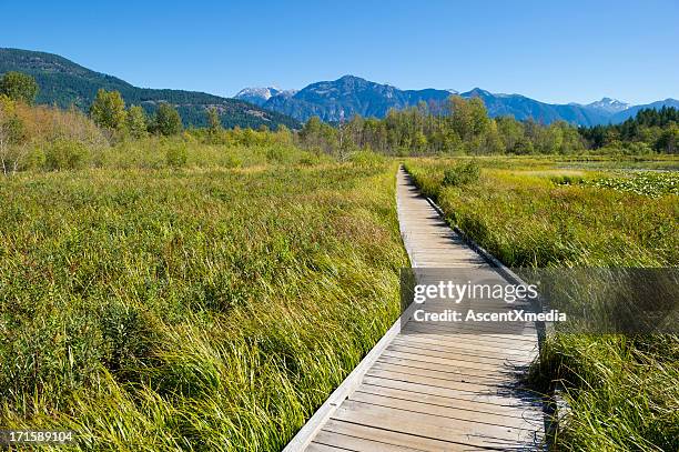 boardwalk - pemberton valley stock pictures, royalty-free photos & images