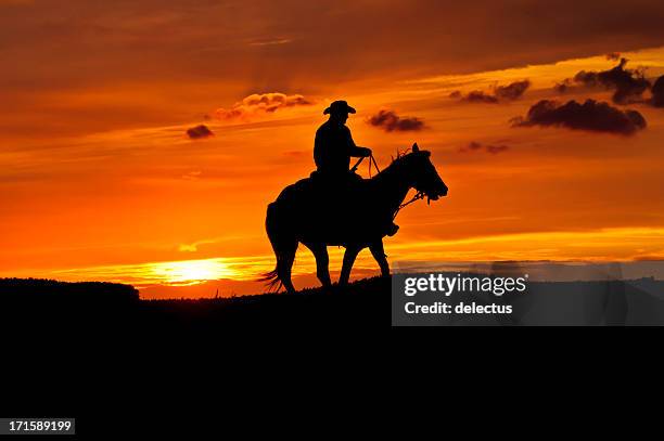 cowboy con un caballo en la puesta de sol - vaqueros fotografías e imágenes de stock