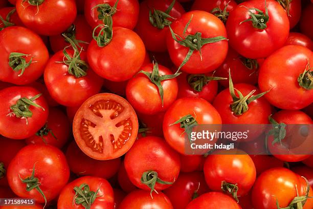 tomatoes - tomaten stockfoto's en -beelden