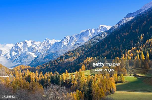 automne dans les montagnes suisses à davos - canton de graubünden photos et images de collection