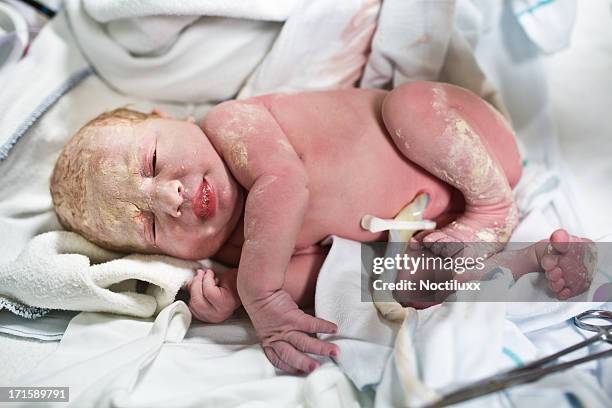 newborn baby with umbilical cord - umbilical cord stock pictures, royalty-free photos & images