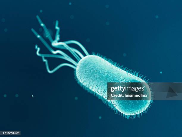 escherichia coli (e. coli.) - traveler's diarrhoea stock pictures, royalty-free photos & images