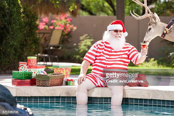 real santa and reindeer relaxing by the pool - kerstman stockfoto's en -beelden