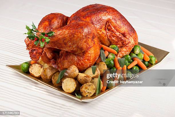 turkey - roast turkey stock pictures, royalty-free photos & images