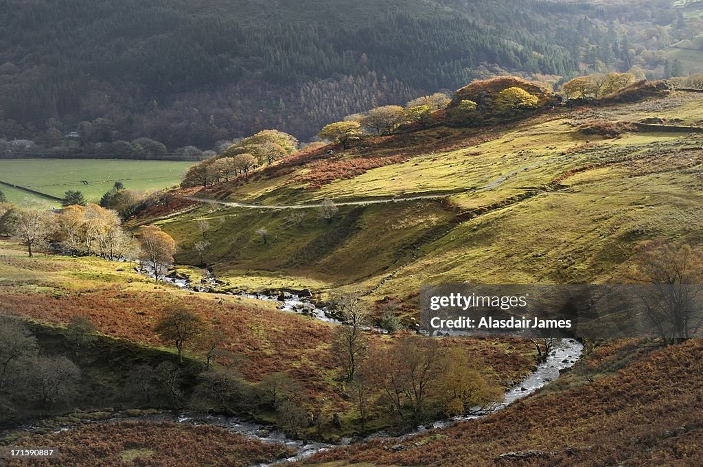 Hafod y Llan, Snowdonia