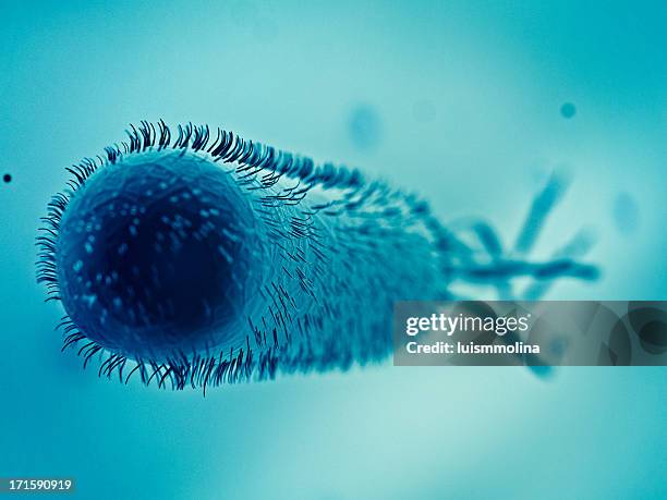 escherichia coli (e. coli.) - traveler's diarrhoea stock pictures, royalty-free photos & images