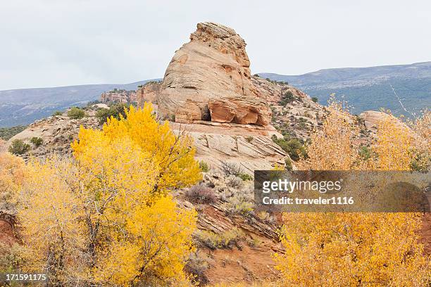 elephant toes butte in dinosaur national monument, utah - dinosaur national monument stock pictures, royalty-free photos & images