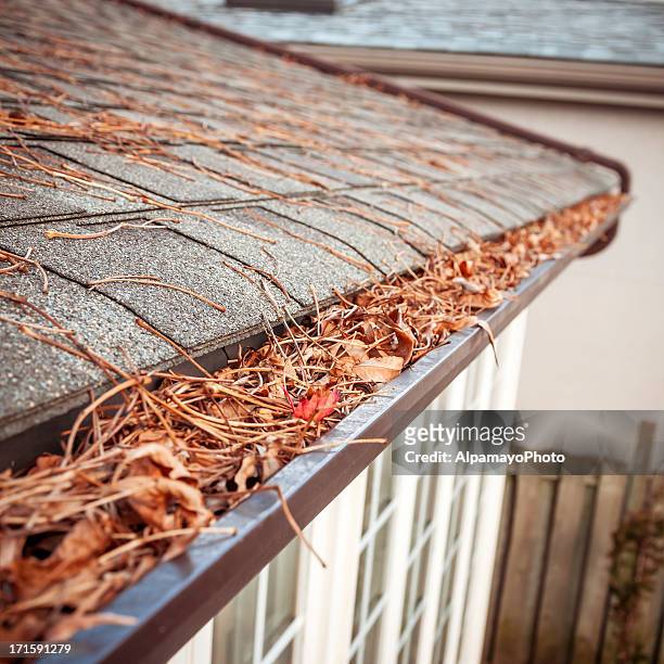 eavestrough clogged with leaves - v - roof gutter stock pictures, royalty-free photos & images