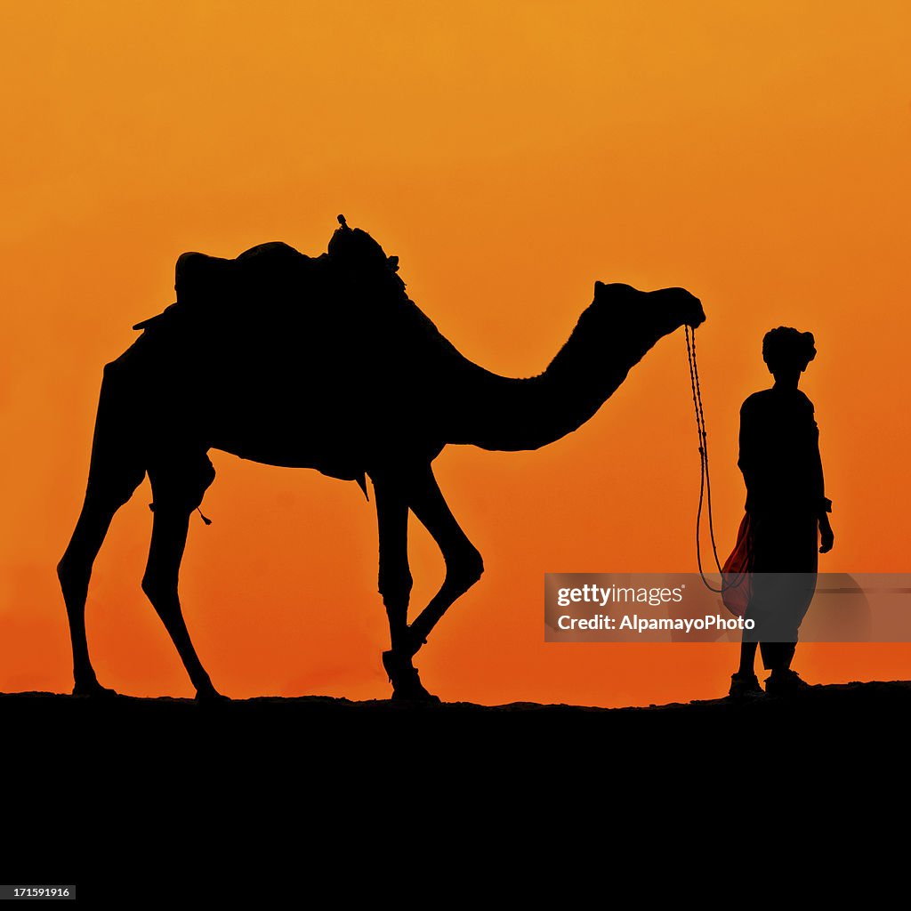 Silhouette of Rider and Camel in the Desert (Sunset) (IX)