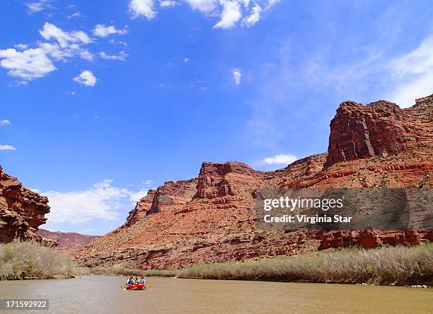 rafting on the colorado river near moab utah - moab rafting stock pictures, royalty-free photos & images