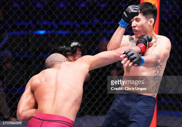 Victor Hugo of Brazil punches Eduardo Torres Caut of Chile in a bantamweight fight during Dana White's Contender Series season seven, week nine at...