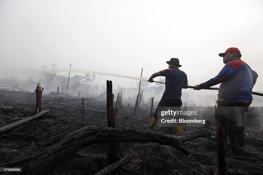 Firefighters Put Out Forest Fires As President Yudhoyono Apologizes Over Haze