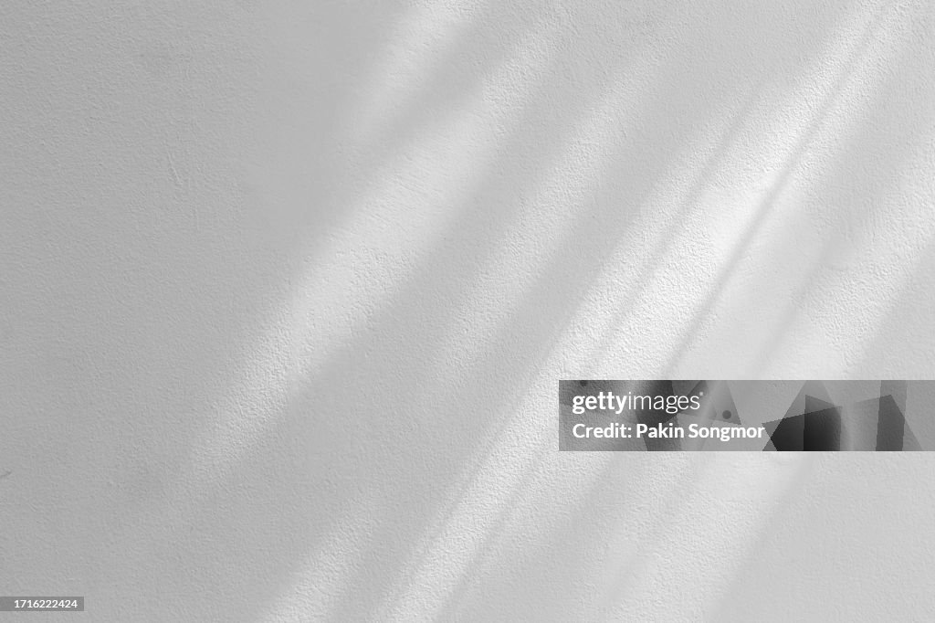 Shadows of leaf tree on an old grunge wall concrete background.