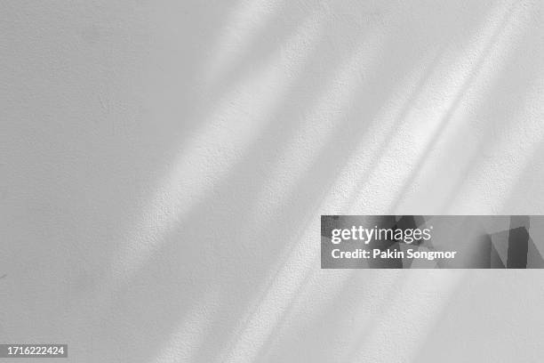 shadows of leaf tree on an old grunge wall concrete background. - surrounding wall stock pictures, royalty-free photos & images