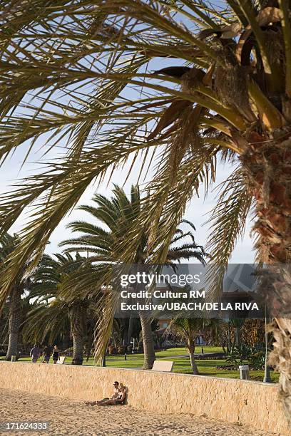 caleta de fuste beach, antigua, fuerteventura, canary islands, spain - caleta de fuste stock pictures, royalty-free photos & images